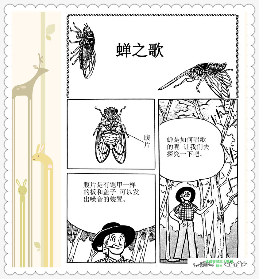 昆虫记法布尔动画片,昆虫记法布尔全套