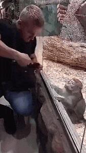 小萝莉搞笑图片,搞笑gif我知道你是个妹子