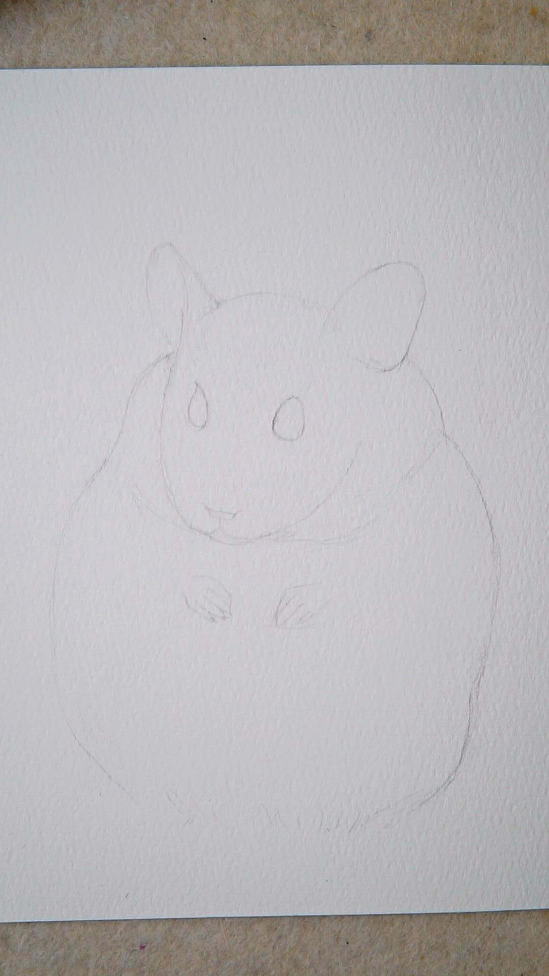 怎么用水彩笔画一个仓鼠视频,可爱的画画教程小动物