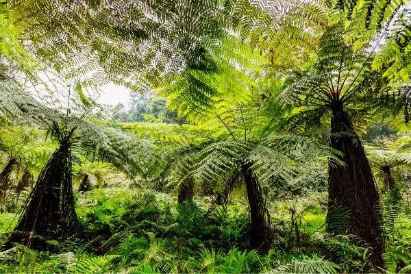 石象湖景区团购,石象湖景区门票特价