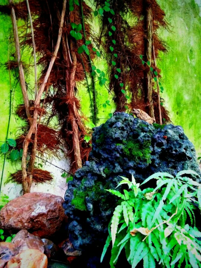 幽默风趣石头,石头幽默