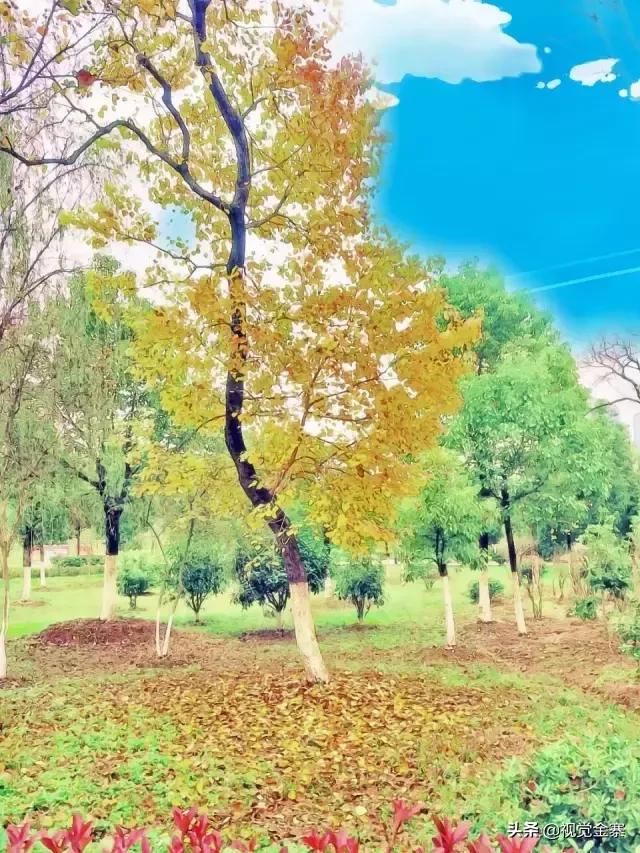 金寨是美丽的、有历史文化的，但这样的金寨你绝对没看过