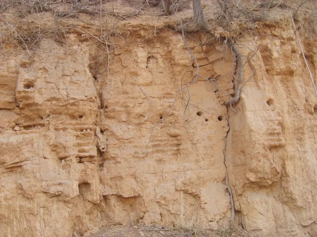 荥阳历史故事,荥阳城历史简介