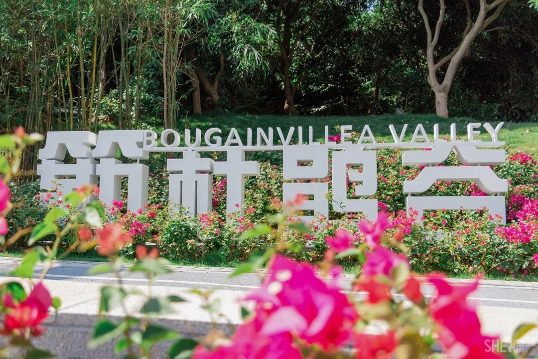 鍘夊浜嗘垜鐨勫ぇ閽﹀窞,鍘夊浜嗘垜鐨勫ぇ淇濆畾