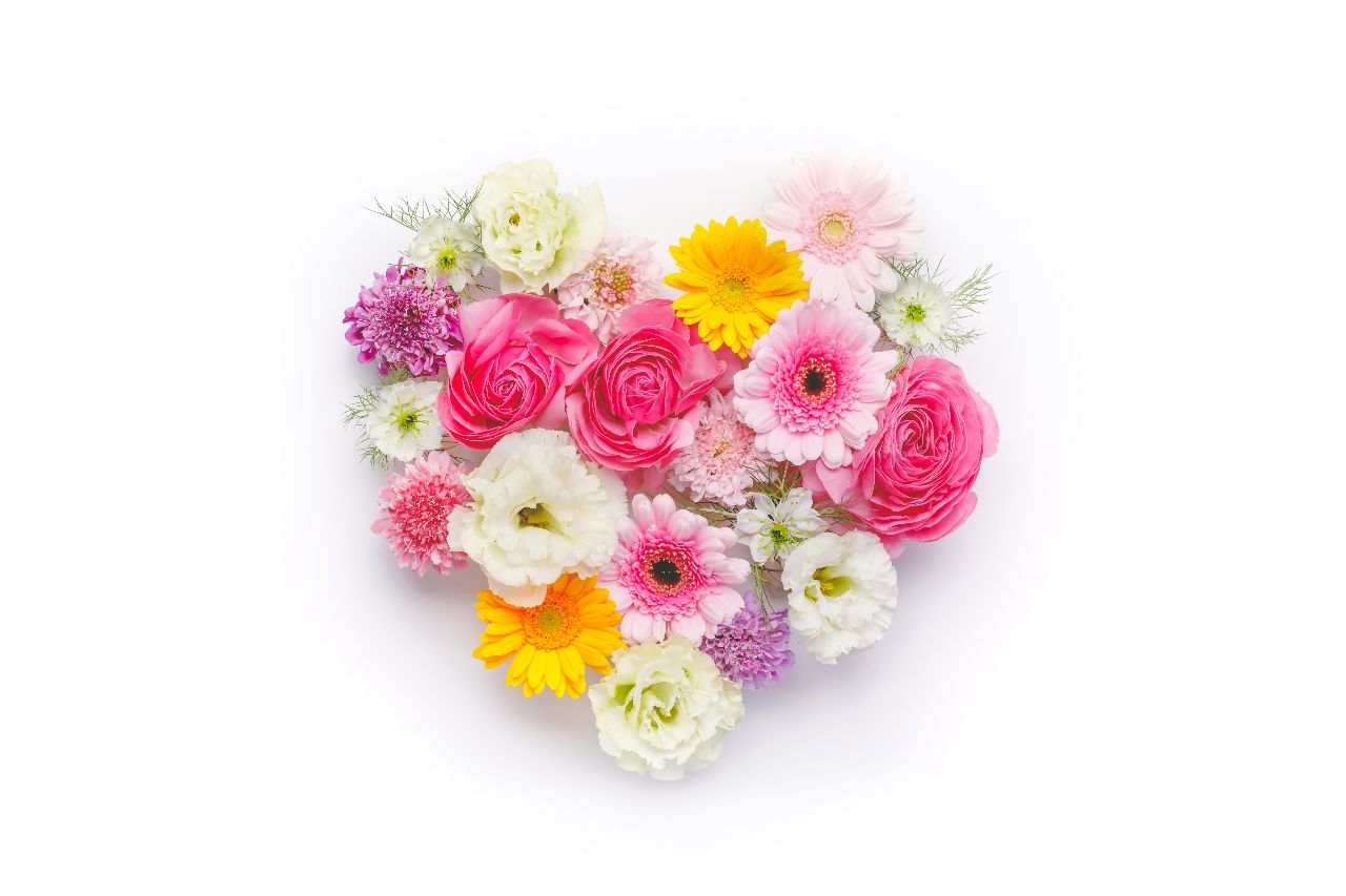 真爱了反而变冷淡的星座,对真爱永远放不下的星座