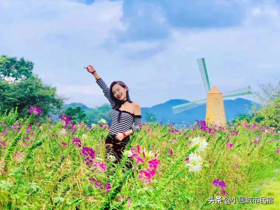 从化旅游景点大全樱花,从化樱花旅游景点