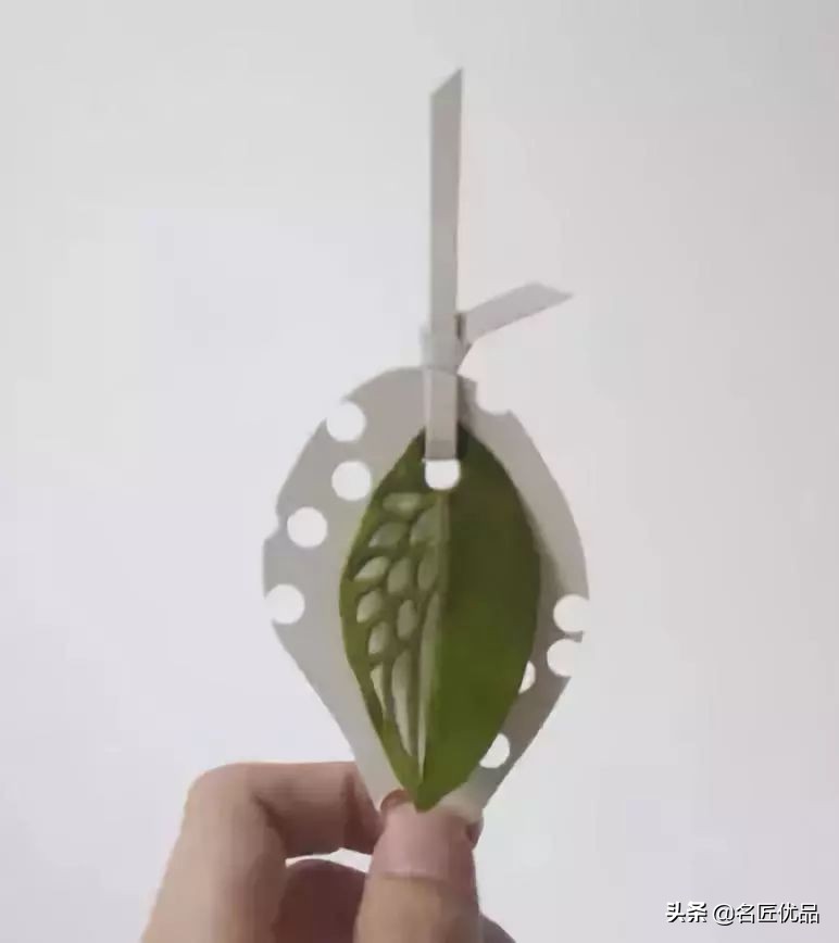 超惊艳的树叶手工,有趣的树叶手工制作