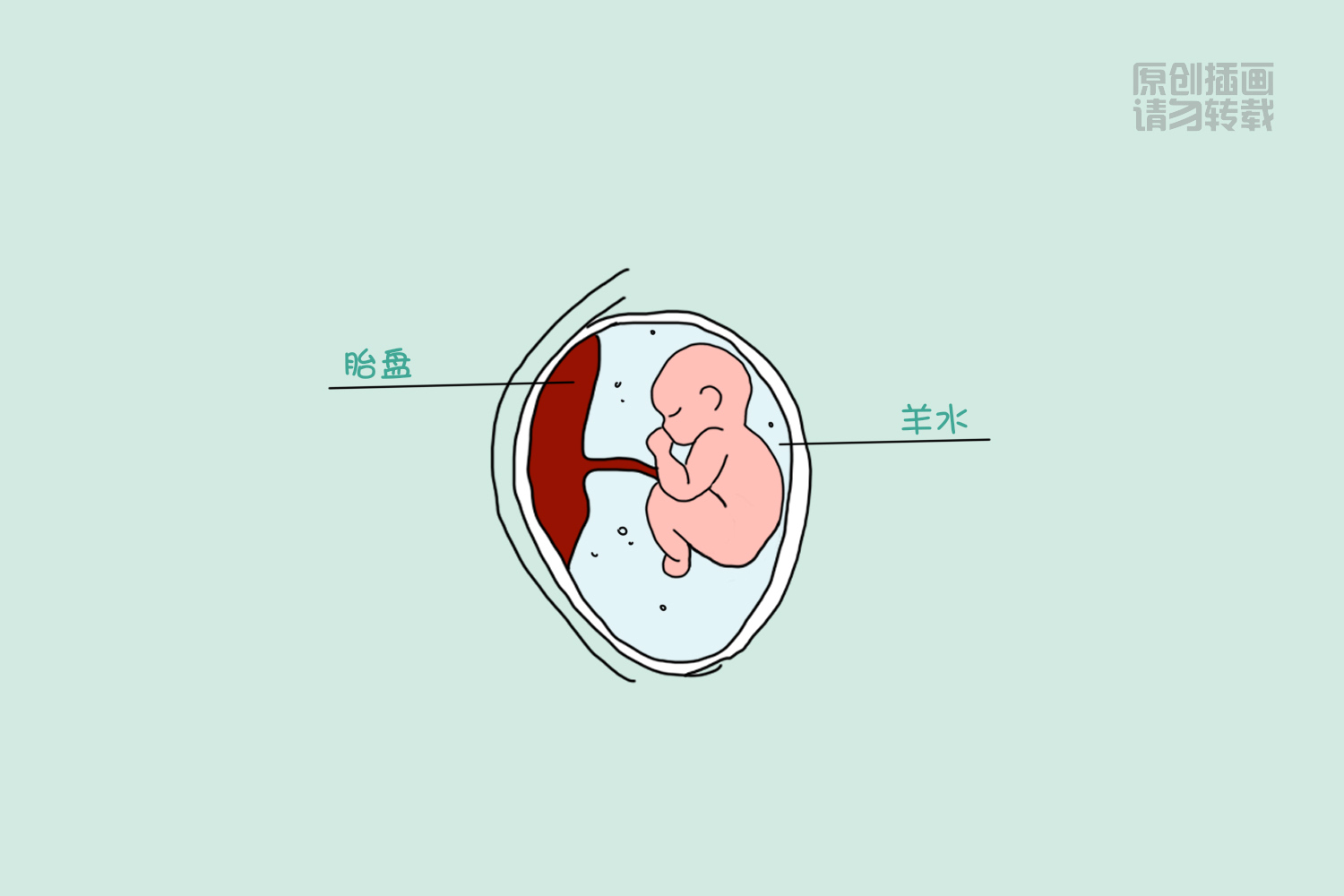 羊水对宝宝有什么作用,羊水会进入宝宝呼吸道吗