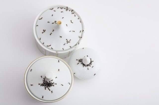 便宜又减肥的餐具有哪些,适合减肥用的餐具套装