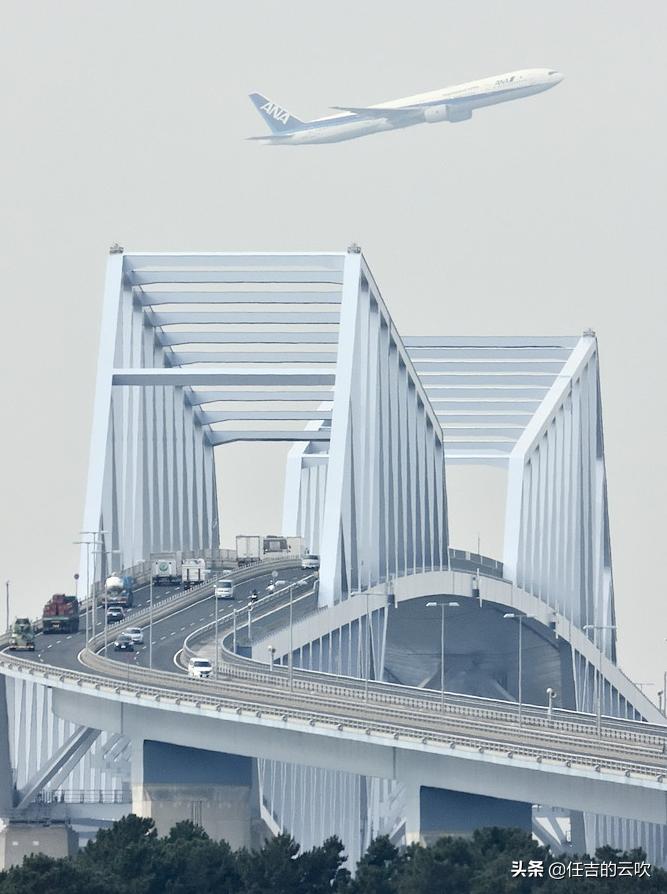 尼康p1000日常拍摄和手机对比,尼康p1000是多少毫米镜头