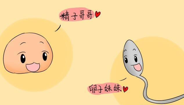 备孕吃什么药孩子聪明,如何备孕聪明的宝宝