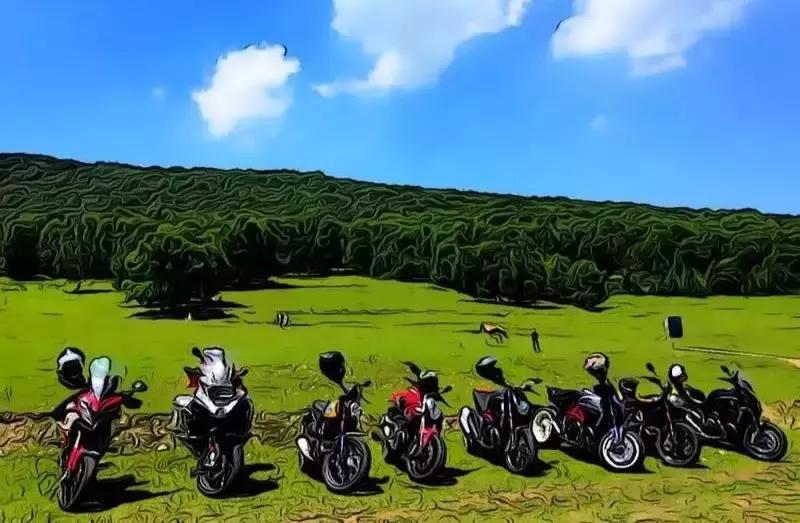 字节跳动这些卧虎藏龙的Lark群，你在里面吗？