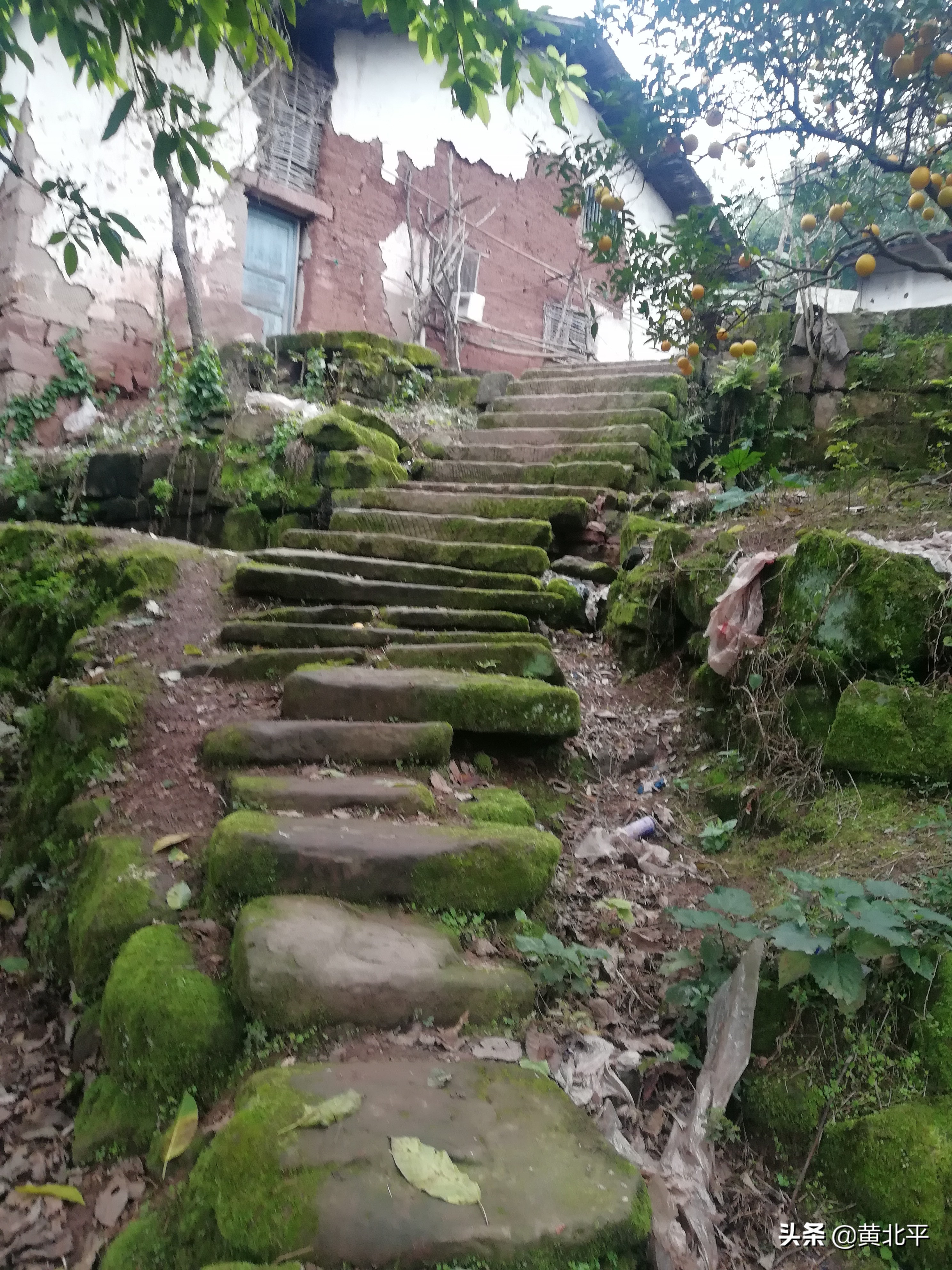 唐家大院唐家是怎么没落的,重庆唐家院子来历