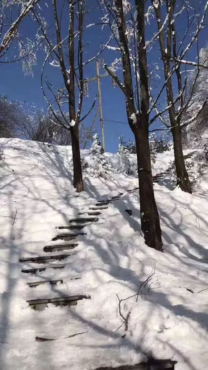 看一眼纯纯的凤县蓝，这就是我爱上凤县冬日的理由