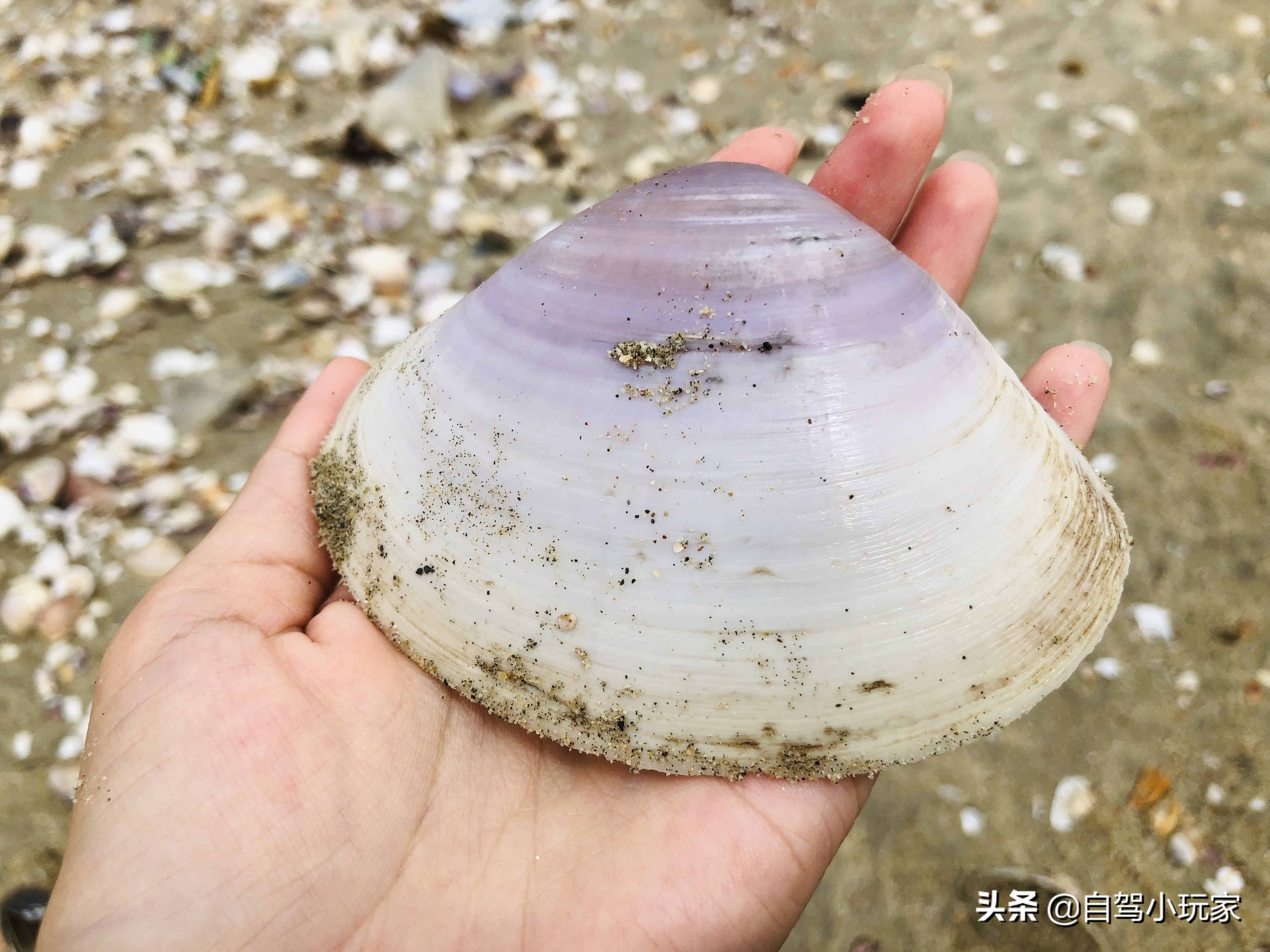 一个开车就能到的“大碧潭”，瀑布、溪流免费任你玩，来的人很少