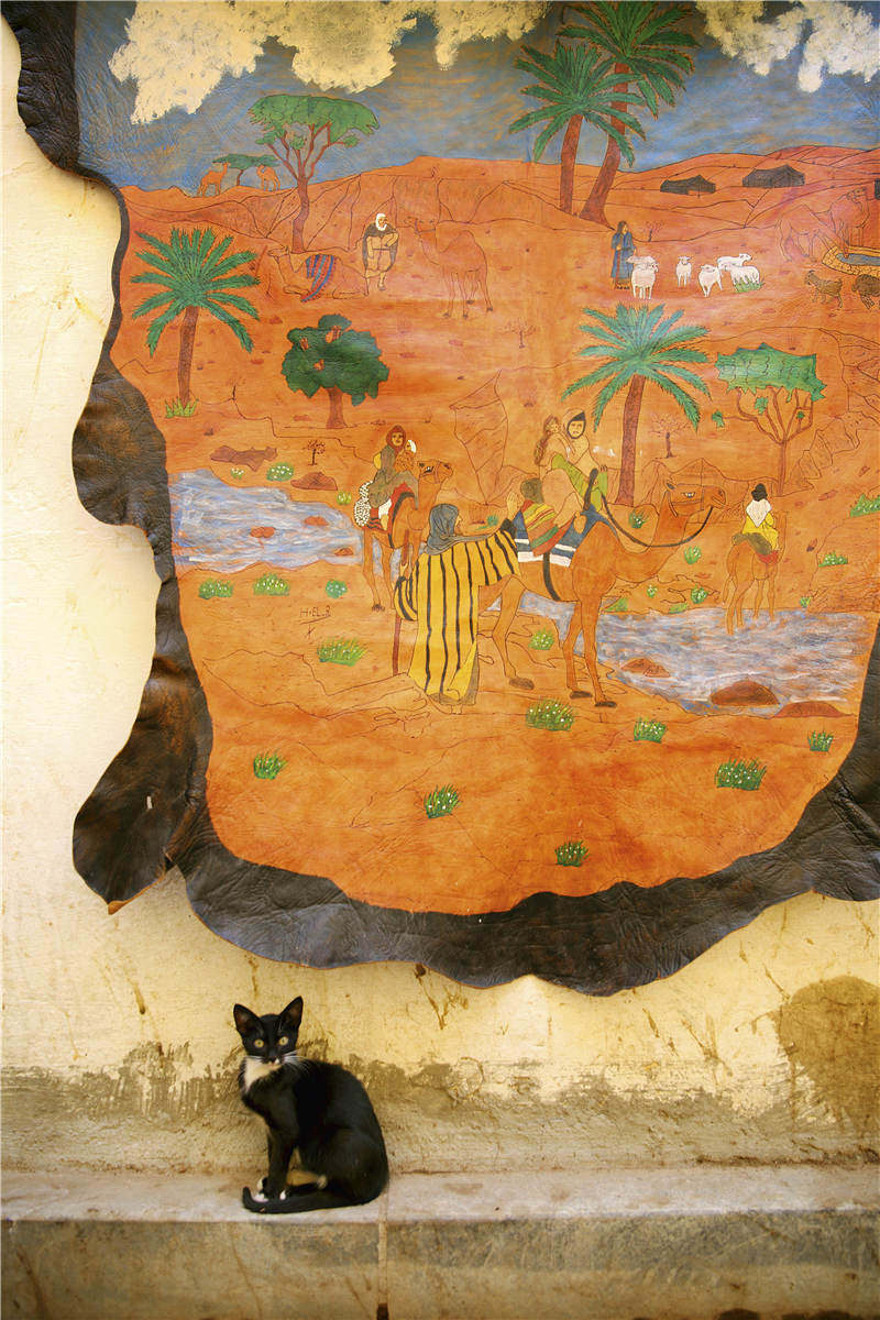 在摩洛哥隐藏于市井的拉巴特花园里，在当地人的回忆和渴望中，我看到了一个真正的摩洛哥