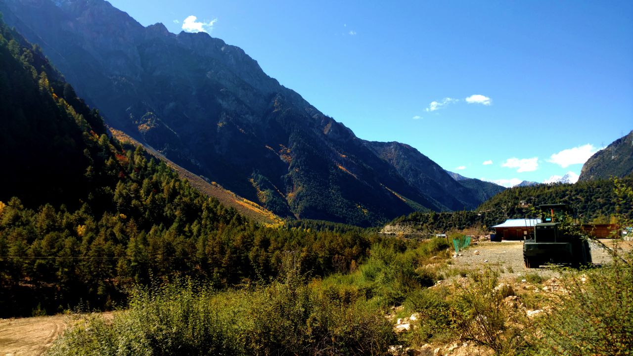 钘忚タ涔嬫梾,瑗胯棌涔嬭