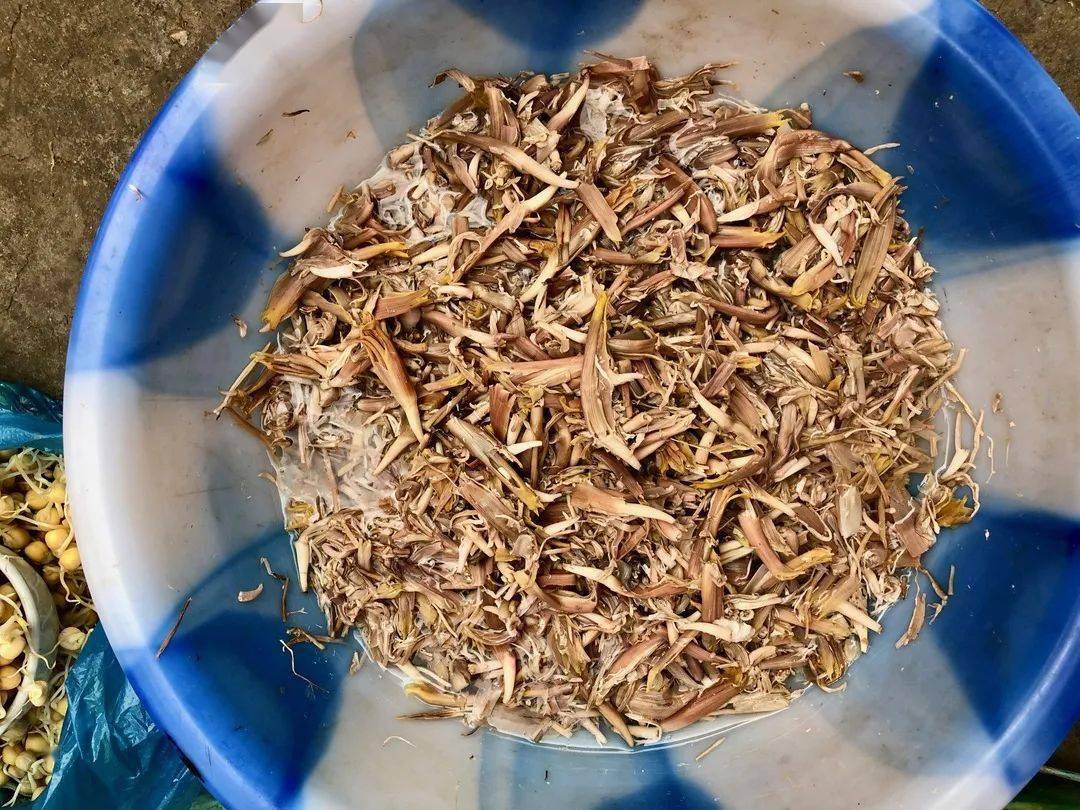 云南带毒的美食,云南带菌的美食