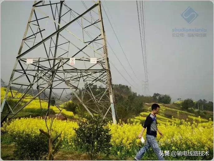 送电线路工高级工基础知识复习试题