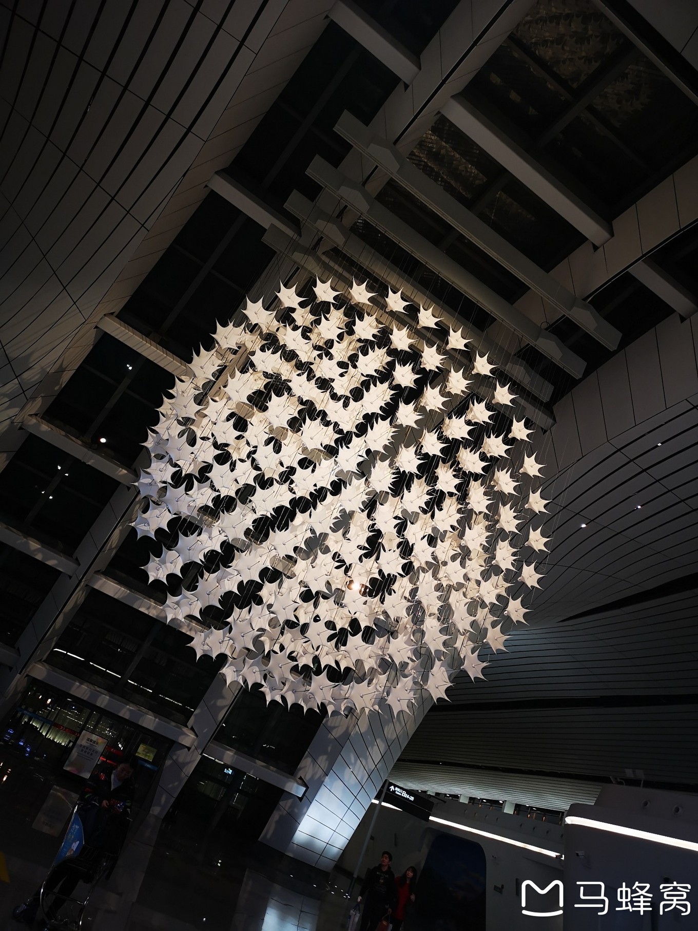 三亚夏天的海和冬天的海,三亚冬天如夏