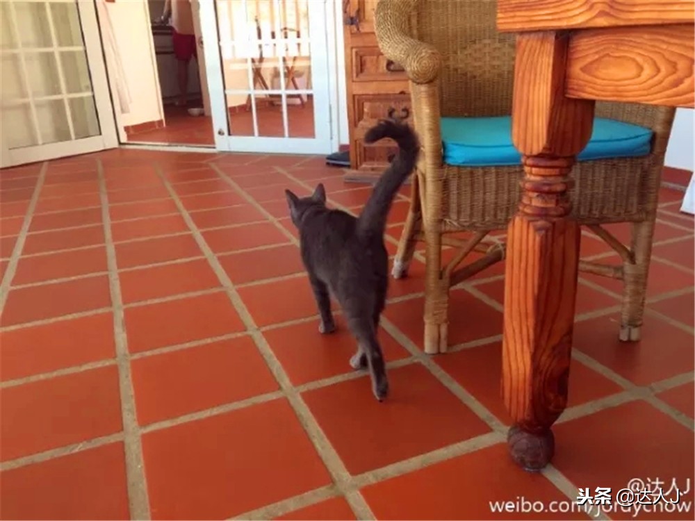 那些年曾住过的酒店,那些年住过的民宿