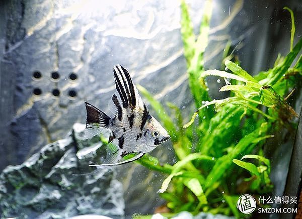 东半球男性礼物选购指南：那些年，媳妇送我的礼物从100元到10000