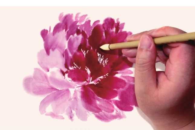 国画牡丹和石头的画法图片,初学国画牡丹花头画法图解