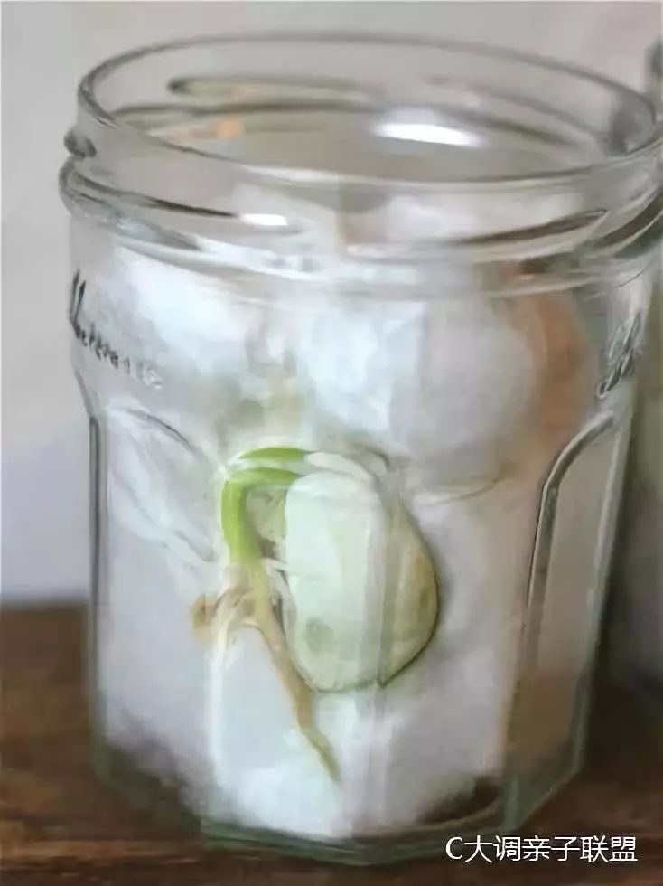 科学实验好奇心,科学入门小实验