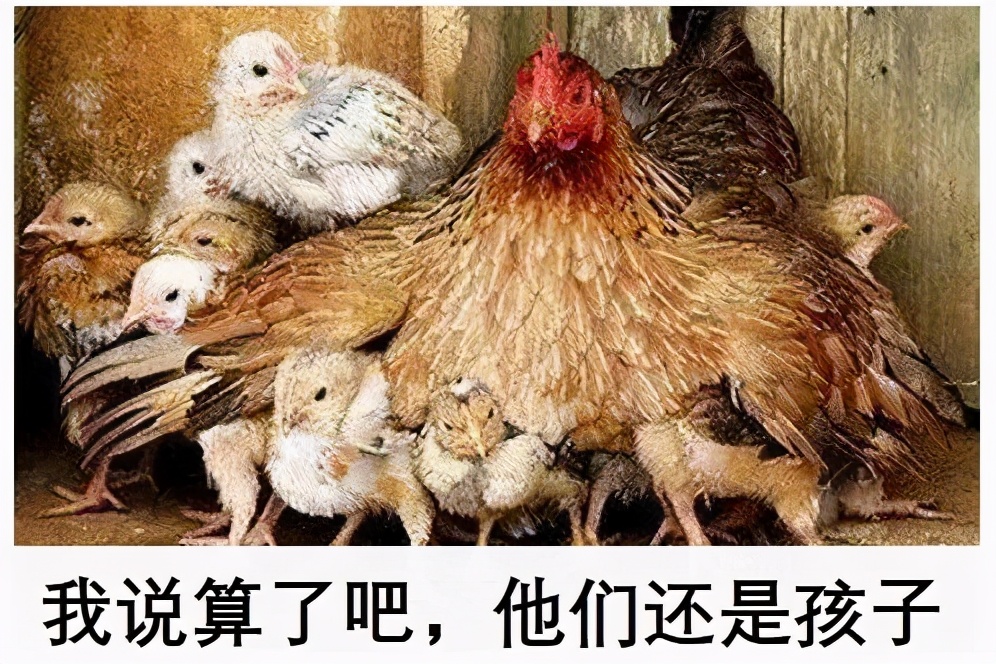 有些亲戚总是问你工资多少啊,亲戚问你工资多少怎么回