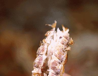 广州晚上吃宵夜好去处超详细,广州夜晚十大夜宵