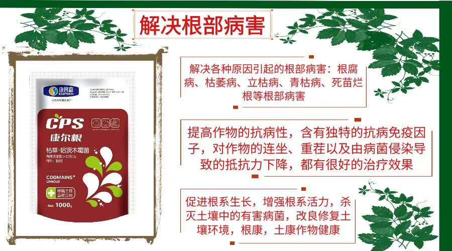 重楼病虫害专用药,重楼种植技术及病虫害防治