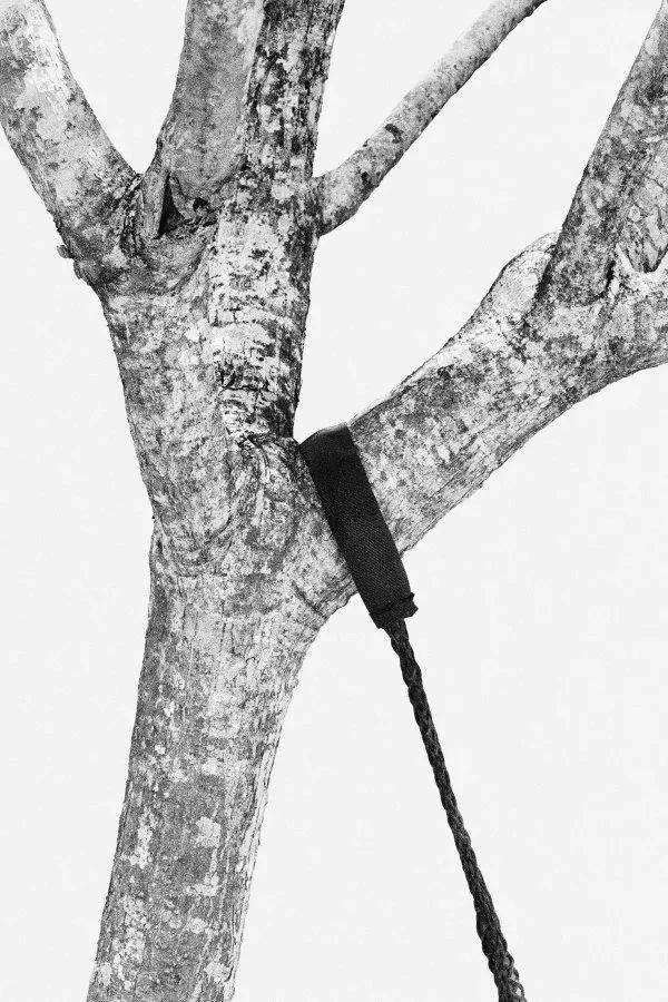 奥林巴斯摄影圈,奥林巴斯相机业务被谁收购