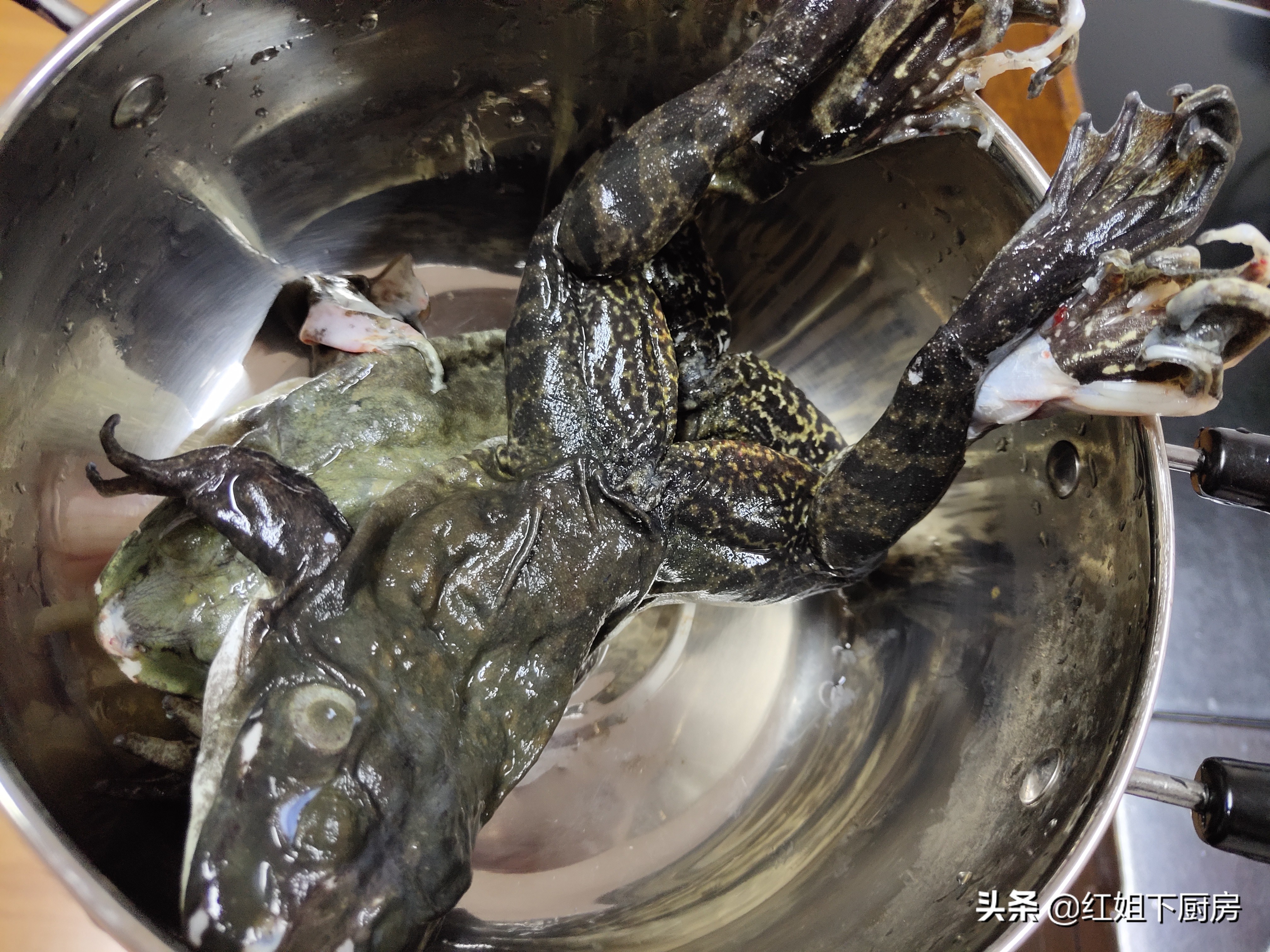 石蛙配上火腿蒸20分钟出锅，鲜嫩到连最后一滴汤都不愿意剩