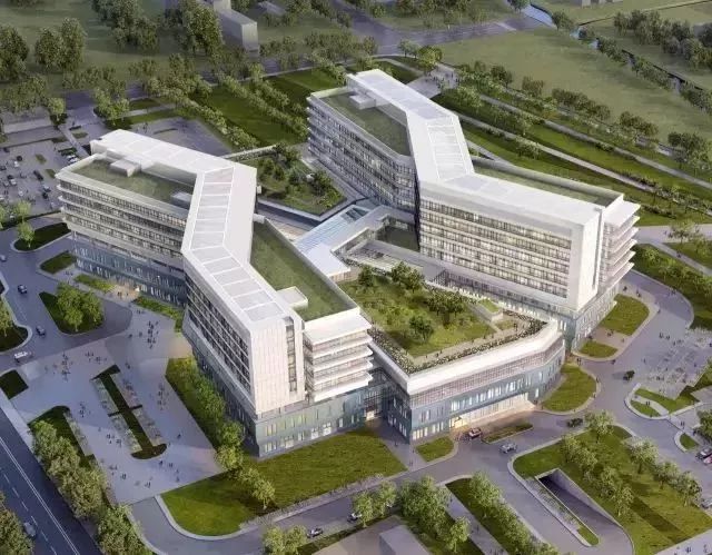 结棍！浦东又双叒叕要爆发了，全上海都得羡慕！