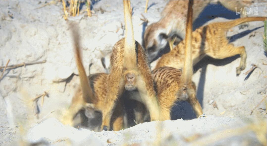 豆瓣评分9.5以上的国产电影有哪些,十部顶级神片推荐