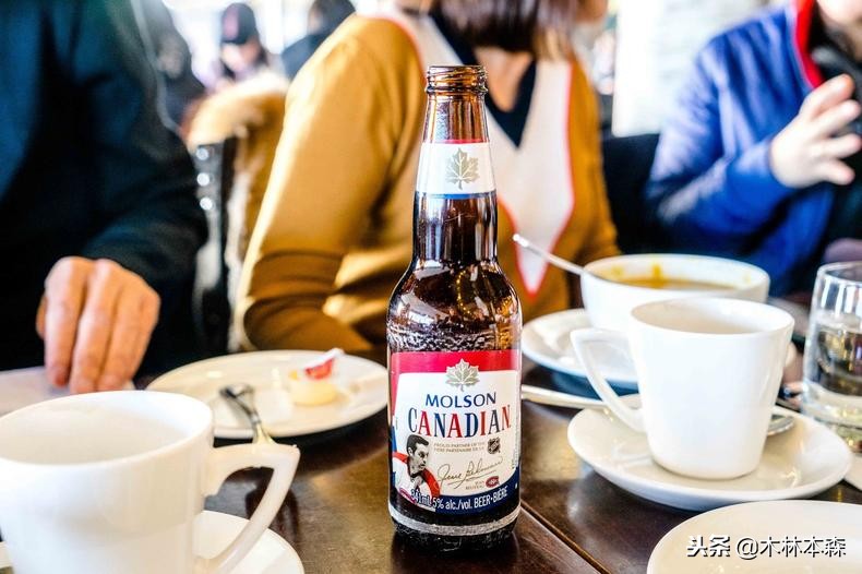 加拿大多伦多生活日记,加拿大多伦多留学生活纪实