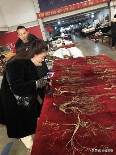 抚松县万良人参交易市场视频,长白山万良人参市场直播
