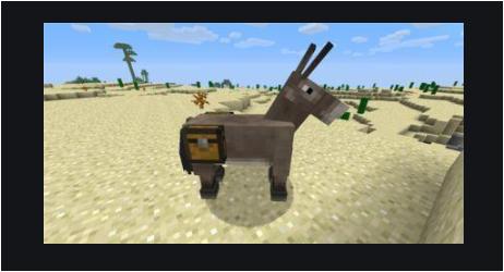 我的世界生物生存合集,我的世界生存最烦人的生物