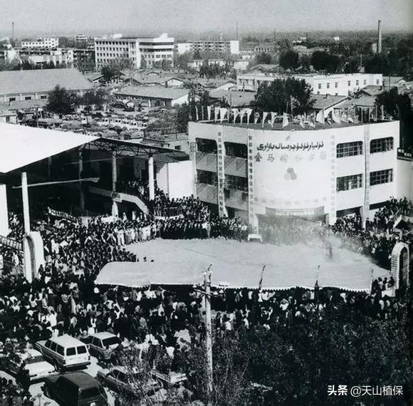 上榜啦！*疆新**鸟市和石市即将被国家命名！未来发展不可估量