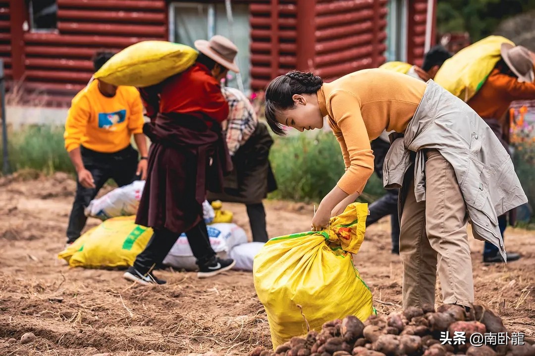 《玛尼堆的秋天》上映，脱贫攻坚题材，郭靖宇老婆自导自演