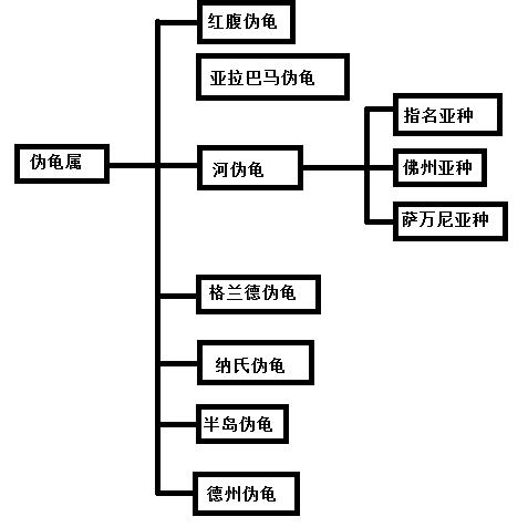 我是谁韩国版人物图片,我是谁日本原版