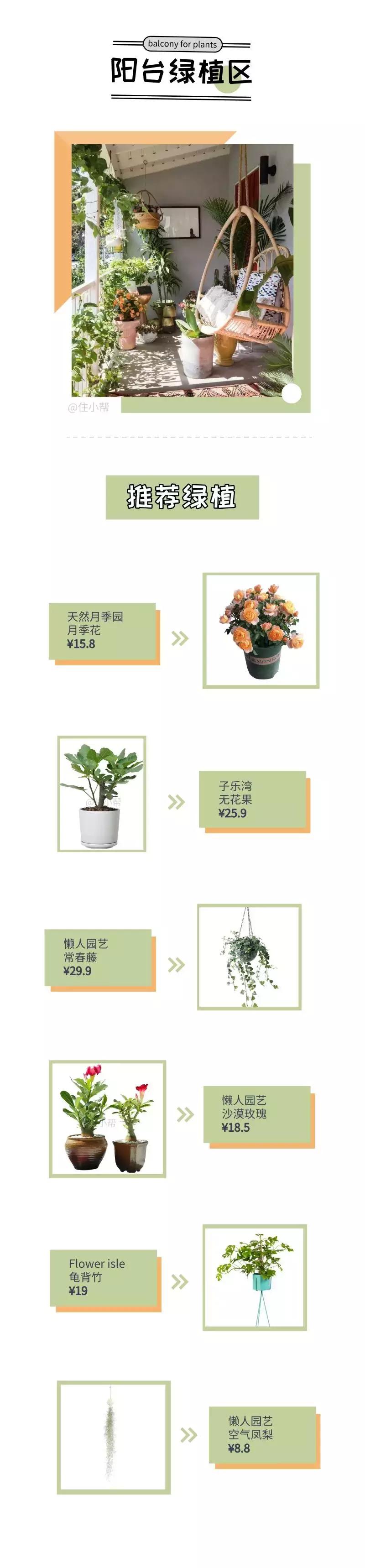 阳台改造种菜小技巧,4平米阳台改造案例