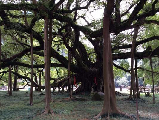 阳朔最佳旅游景点有哪些,阳朔的主要景点有哪些