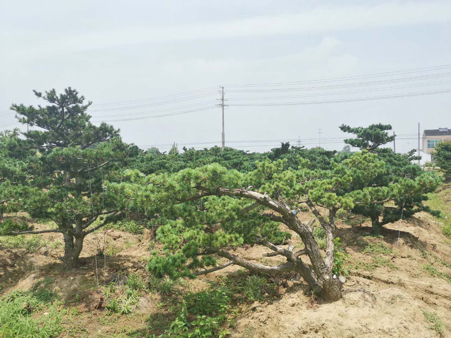 叹为观止自然风景,叹为观止高清图