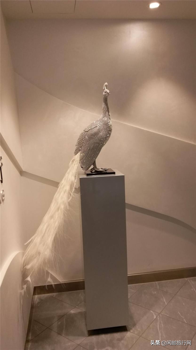 上海日本海洋光谱号邮轮游,海洋光谱号长崎一日游