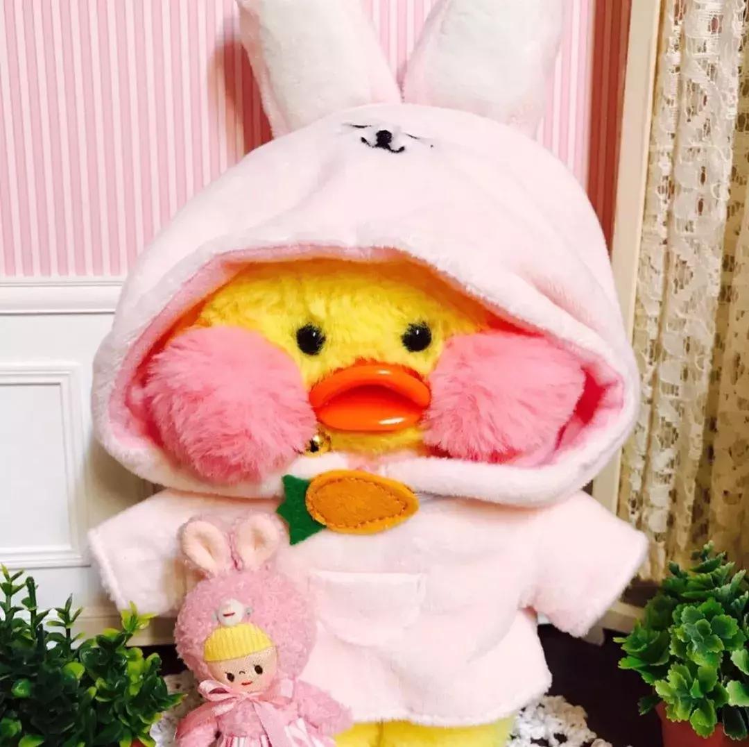 36张网红玻尿酸鸭头像图：遇见就好了，余生就算了