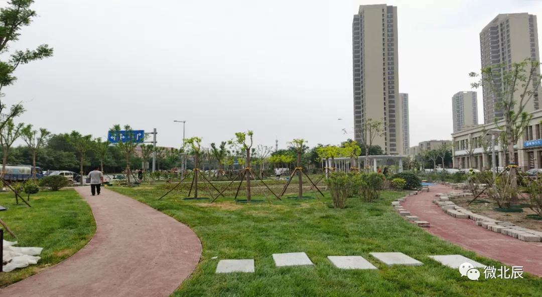 明珠公园二期,明珠公园改造