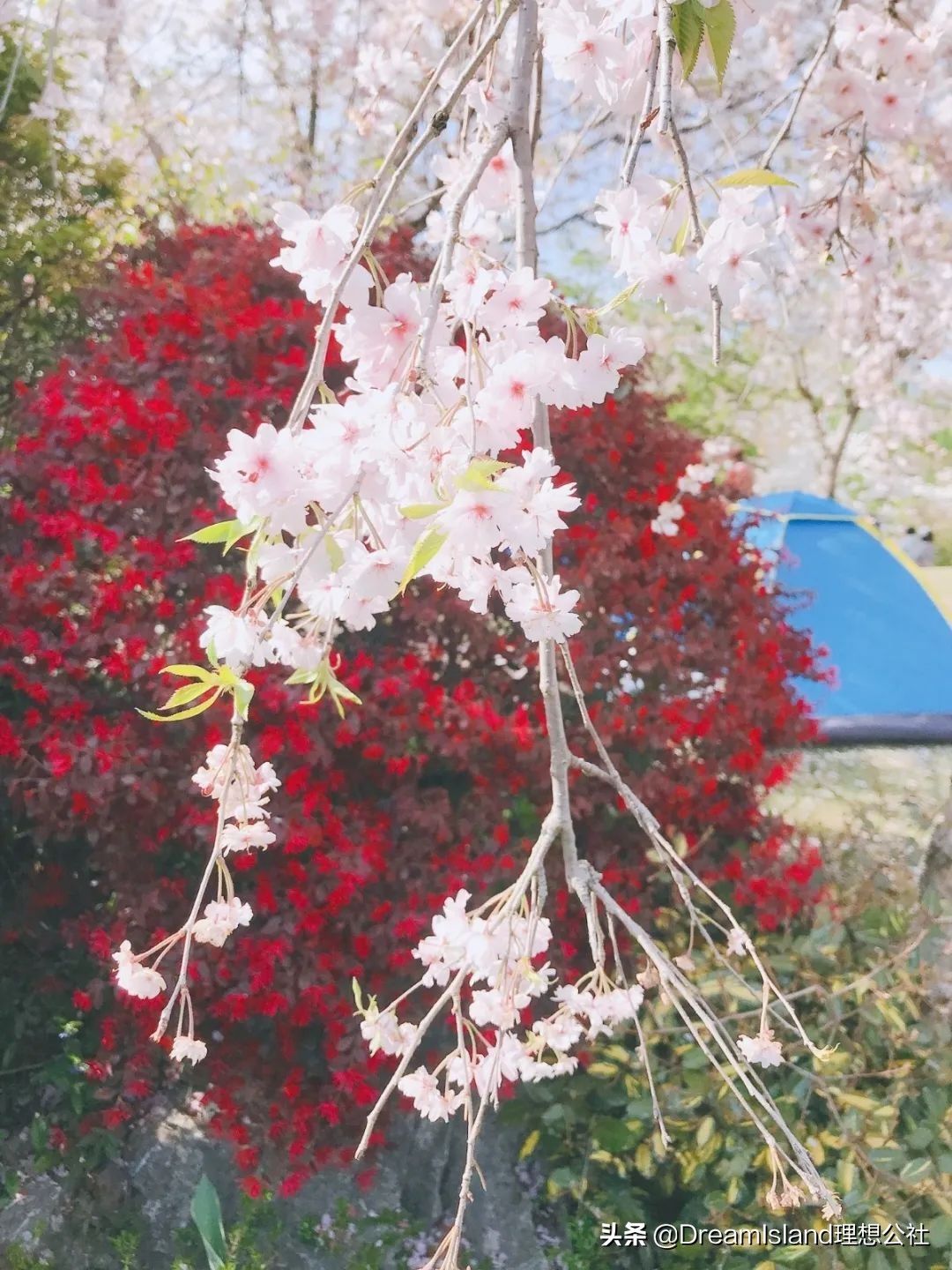 秋冬养肤大牌粉底液推荐,美妆润泽粉底液