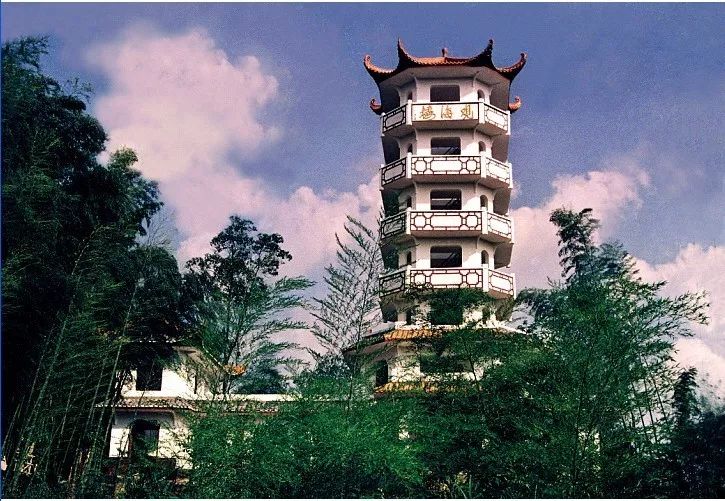 中国醉美云和梯田,中国醉美梯田景观