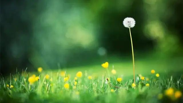 旅行社潜规则,旅行社十大隐藏玩法